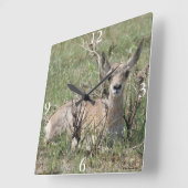 Horloge Carrée Antilope pronghorn A7 bébé (Angle)