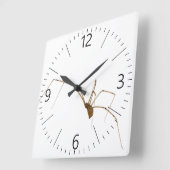 Horloge Carrée Araignée (Angle)
