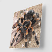 Horloge Carrée Araignée de Tarantula au genou rouge mexicain (Angle)