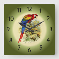 Arara macao - Ara macao - Scarlet Macaw - ~