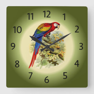 Horloge Carrée Arara macao - Ara macao - Scarlet Macaw - ~