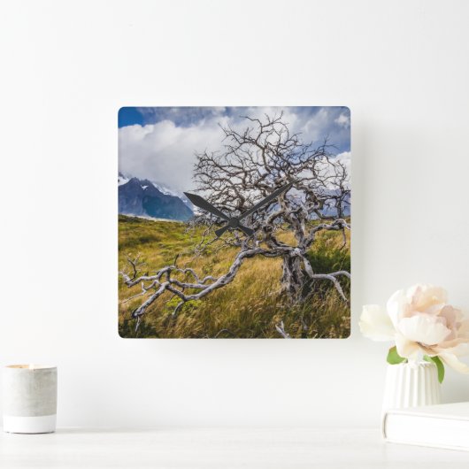 Horloge Carrée Arbre brûlé, Torres del Paine, Chili (Maison)