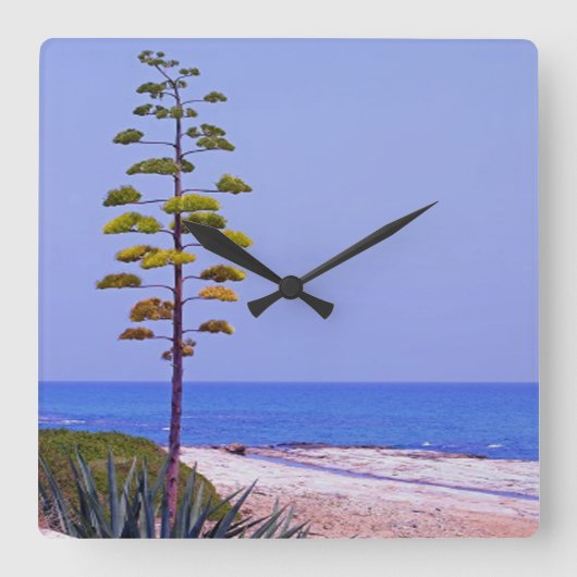 Horloge Carrée Arbre d'agave - (Recto)