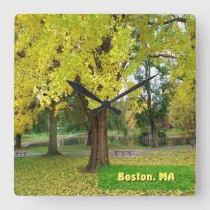 Horloge Carrée Arbre Gingko Jaune - Jardin public de Boston