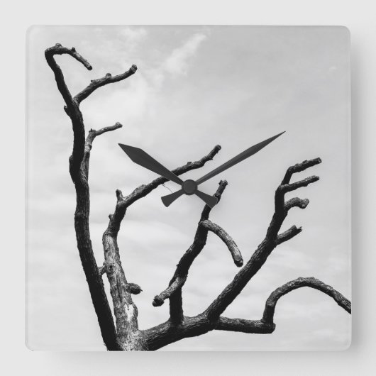 Horloge Carrée arbre libre (Recto)