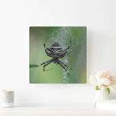 Horloge Carrée Argiope bruennichi (Maison)