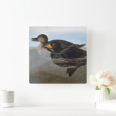 Horloge Carrée Audubon : Black Scoter (Maison)