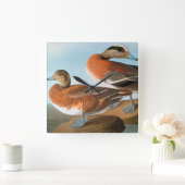 Horloge Carrée Audubon : Canard siffleur (Maison)