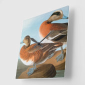 Horloge Carrée Audubon : Canard siffleur (Angle)