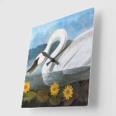 Horloge Carrée Audubon : Cygne commun (Angle)