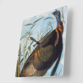 Horloge Carrée Audubon : La Turquie sauvage (Angle)