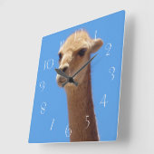 Horloge Carrée Autoportrait de Vicuña sur arrière - plan bleu (Angle)