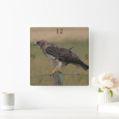 Horloge Carrée B10 Swainson's Hawk (Maison)