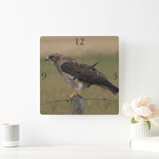 Horloge Carrée B10 Swainson's Hawk (Maison)