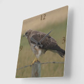 Horloge Carrée B10 Swainson's Hawk (Angle)