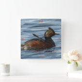 Horloge Carrée B1 Grèbe comestible (Maison)