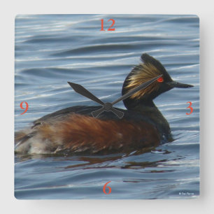 Horloge Carrée B1 Grèbe comestible