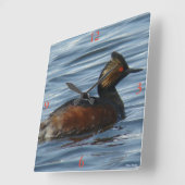 Horloge Carrée B1 Grèbe comestible (Angle)