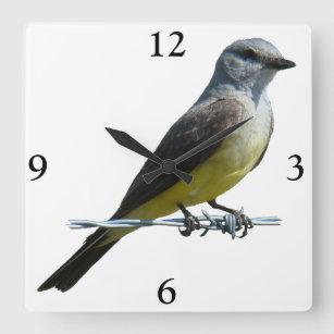 Horloge Carrée B45 Kingbird occidental