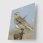Horloge Carrée B6 Ouest Meadowlark (Angle)