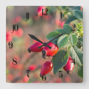 Horloge Carrée Baies roses sauvages