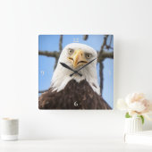 Horloge Carrée Bald Eagle Face Drôle Beaux Art Photographie (Maison)