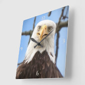 Horloge Carrée Bald Eagle Face Drôle Beaux Art Photographie (Angle)