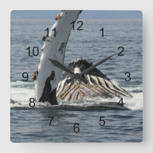 Horloge Carrée Baleine à bosse