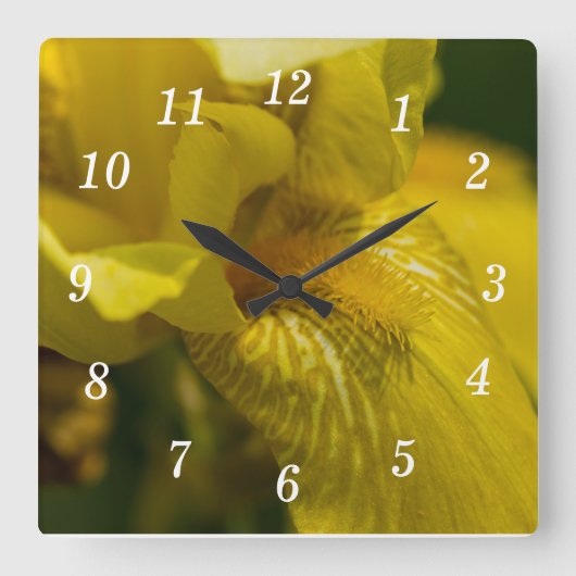 Horloge Carrée Barbe de fer jaune (Recto)