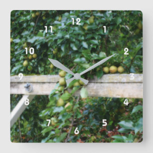 Horloge Carrée Bartlett Pears On Tree Orton Effect