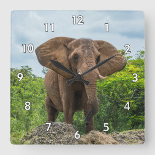 Horloge Carrée Beau éléphant Jouer dans l'herbe