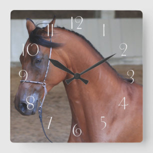 Horloge Carrée Beau étalon arabe pur-sang