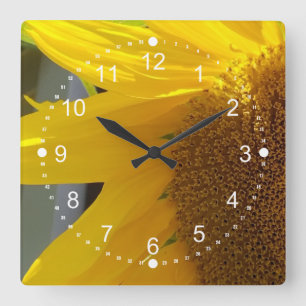 Horloge Carrée Beau gros plan de tournesol