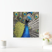 Horloge Carrée Beau Peacock (Maison)