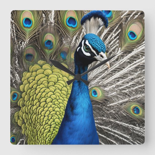 Horloge Carrée Beau Peacock (Recto)