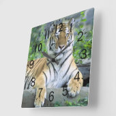 Horloge Carrée Beau tigre (Angle)