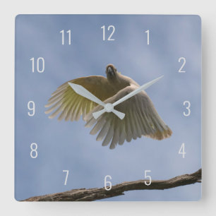 Horloge Carrée Beautiful Cockatoo Bird Parrot Flying dans le ciel