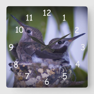 Horloge Carrée Bébé Colibri