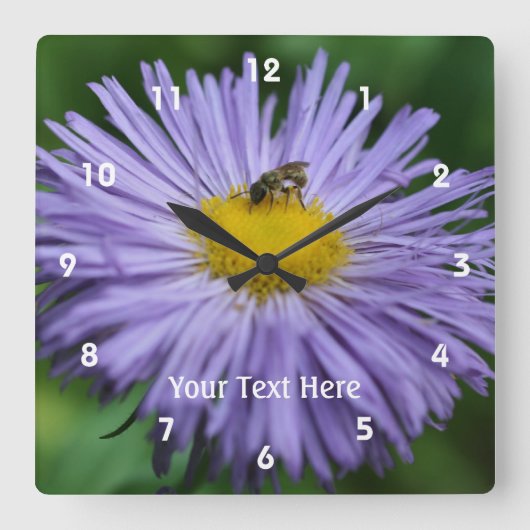 Horloge Carrée Bee on Purple Daisy Flower #2 (Recto)