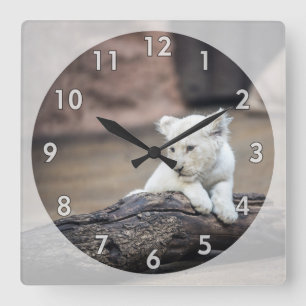 Horloge Carrée Belle Bébé Lion Blanc Cub