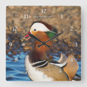 Horloge Carrée Belle Chatty Mandarin Canard à l'étang (Recto)