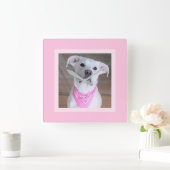 Horloge Carrée Belle Feminine mignonne Chien blanc en Écharpe ros (Maison)