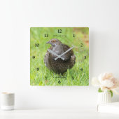 Horloge Carrée Belle grenouille à soie dans l'herbe (Maison)