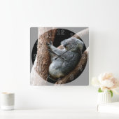 Horloge Carrée Belle ours Koala dans un arbre (Maison)