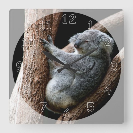 Horloge Carrée Belle ours Koala dans un arbre (Recto)