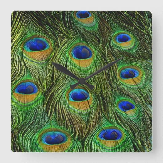 Horloge Carrée Belles plumes de paon (Recto)