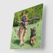 Horloge Carrée Berger allemand (Angle)