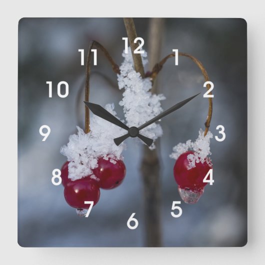 Horloge Carrée Berries congelées (Recto)