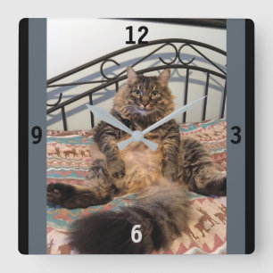 Horloge Carrée Big Huggable Cat Wall Clock