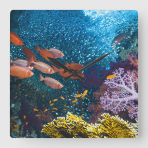 Horloge Carrée Bigeye ou Lunette-Oeil du paysage   de récif